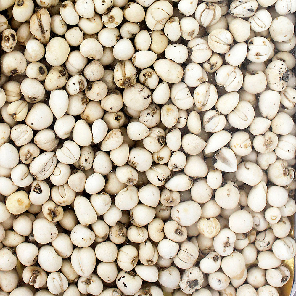 Shing Hing® Herb of Bulbus Fritillariae Cirrhosae 38g – Shing Hing